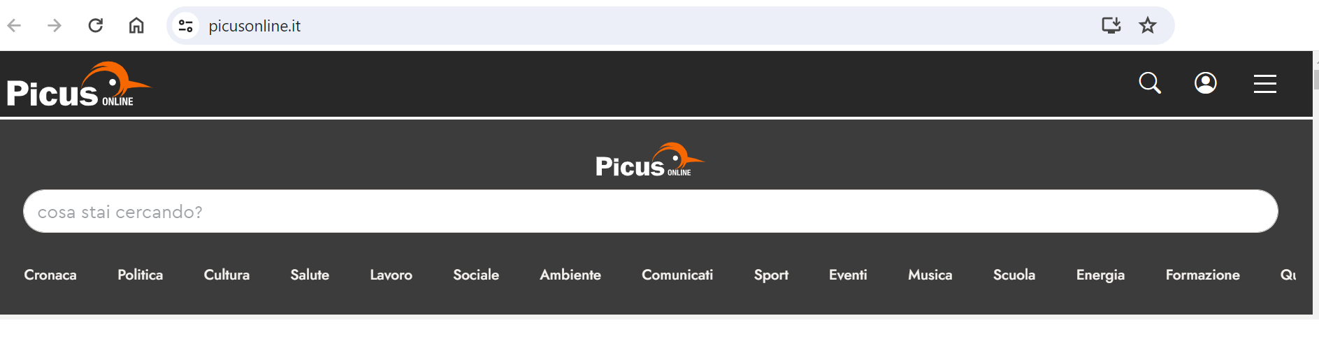 homepage di esempio del sito Picus Online
